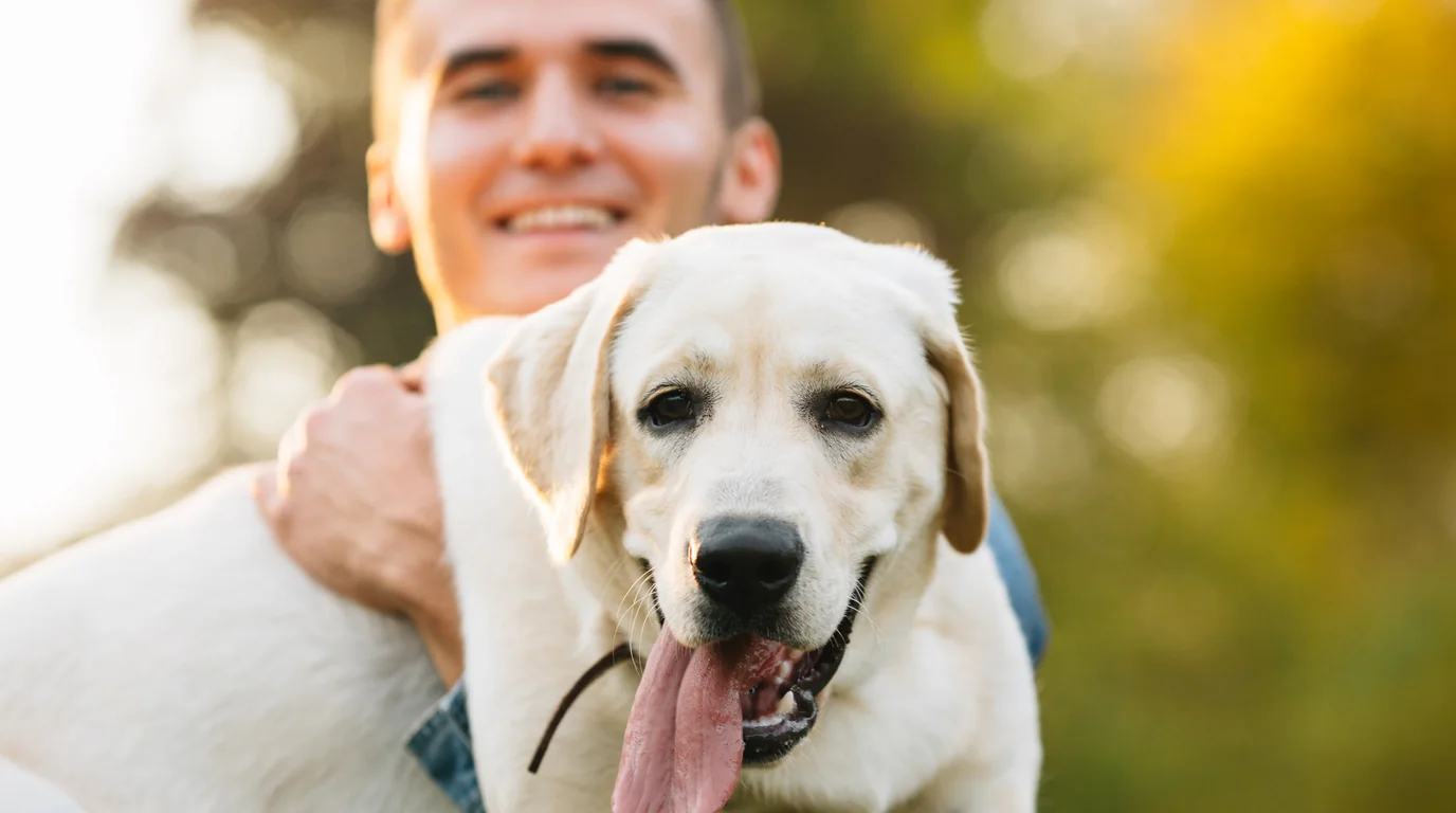 Gotcha Day Tracker: Firar dagar sedan du adopterade din hund eller katt med estetiska iOS-widgets