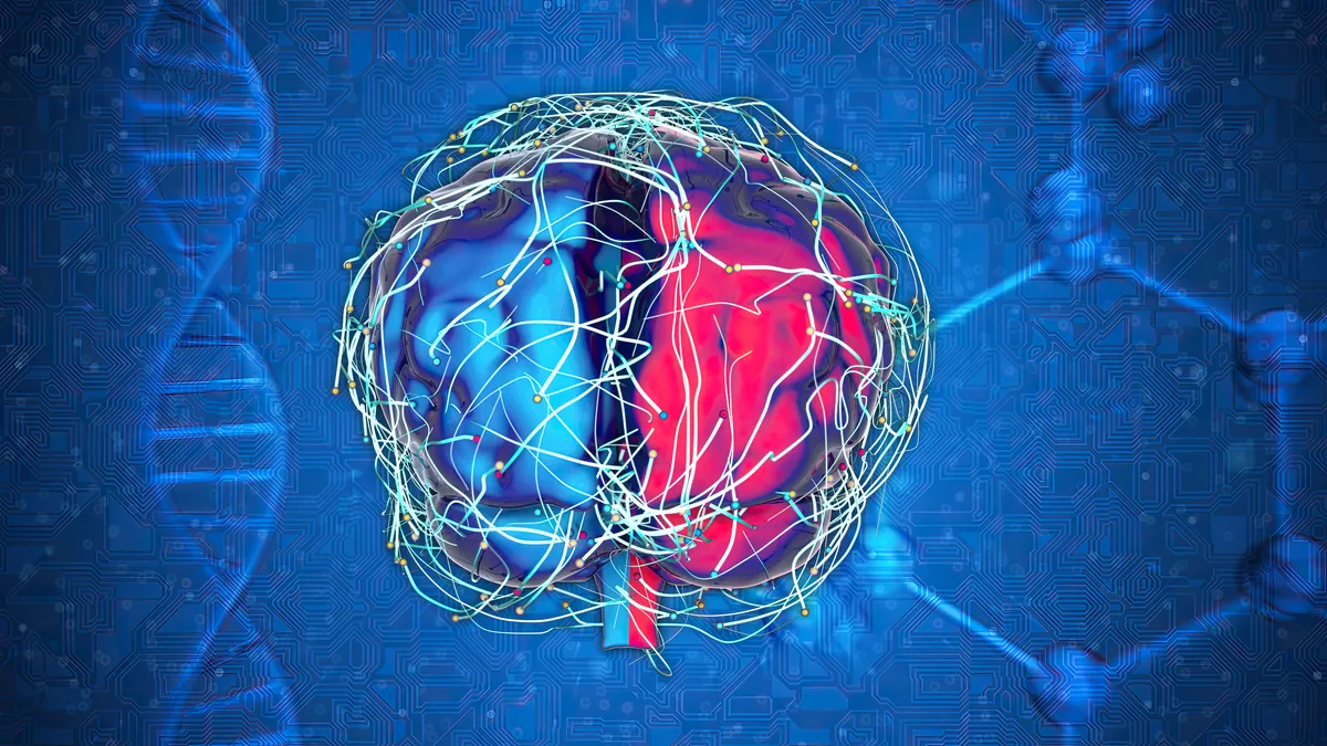 Neuroplasticitetens vetenskap: Hur dagliga affirmationer omformar din hjärna för framgång